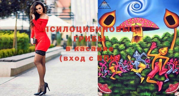 мяу мяу мука Богданович